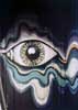 b_auge_s.jpg